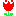 チューリップ