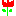 チューリップ