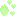 蕾