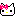 kitty