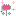 お花