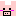 ブタ
