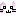 しろいねこちゃん