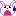 うさぎ どうしよう