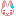 tokki