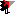 カラス