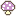 きのこ　PL