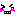 nikaxPr