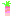 ルバーブ