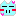 ブタ ブー