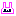 ウサギ