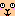 ぷーちんorz