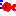 きんぎょ