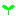 lp