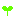 芽