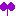 シソ
