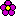 お花