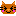 ねこ