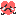 shokopon