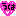 shokopon