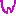 ｗ