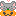 猫とかぼちゃ