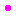 ・
