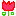 チューリップ
