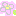 お花