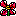 はじめ．Ｔさんのお花１