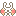 ｳｻｷﾞさん ﾌﾟﾌﾟﾌﾟ