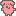 bon
