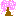 さくら