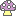 きのこ