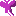 ちょう