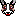 コーギーCM2