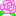 薔薇