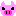 豚