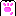 肉球/pn