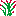 Pセージ
