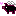 天使ブタ　黒