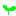 成長