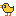 ひよこ