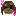 ダックス