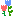 花　ナチュラル