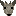 かもしか