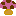 きのこ