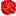 牡丹