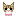 子猫ﾁｬﾝ