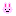 ピンクうさぎ